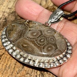 Deep Dark Brown Fossilized Coral Pendant 2”